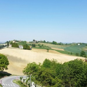 VC004 Monferrato, Terruggia, Strada San Martino - Foto 24