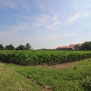 VENDESI CASCINALE DA RISTRUTTURARE - Foto 16